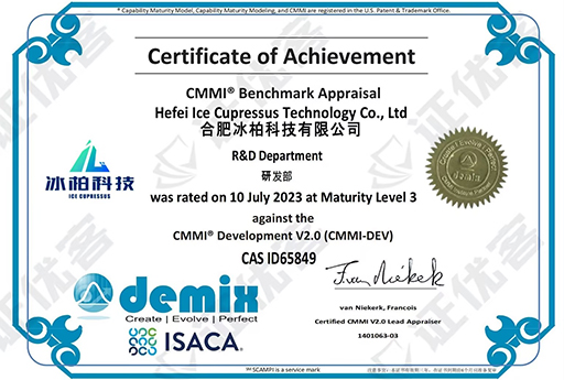 CMMI 3级认证